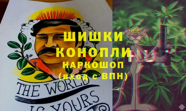 ГАЛЛЮЦИНОГЕННЫЕ ГРИБЫ Кондопога