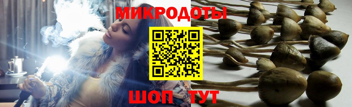 Рассказово  Галлюциногенные грибы Magic Shrooms  Вход с VPN  Галлюциногенные грибы прущие грибы 